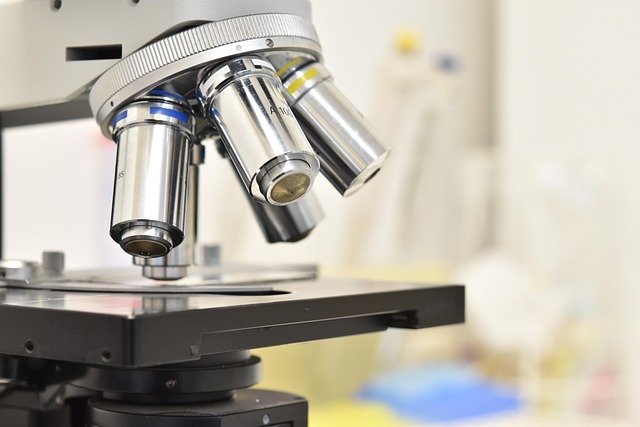 用于聚氨酯泡沫的t-12多用途催化劑,提供快速發泡和固化,縮短生產周期