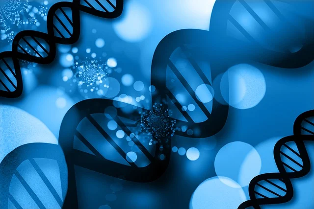 異辛酸汞/13302-00-6,在復雜配方中也能保持穩定的催化性能,確保產品質量